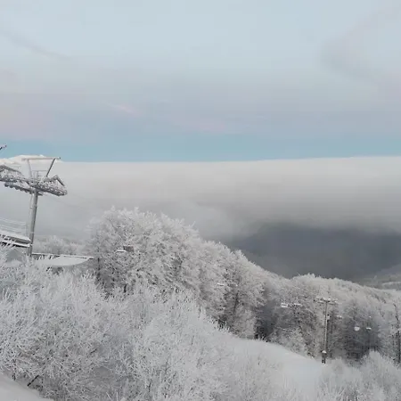 Apartment Loft Mag *