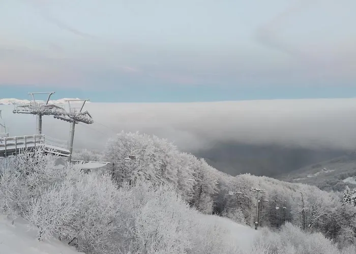 Apartament Loft Mag *